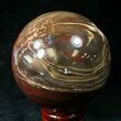 Colorful Petrified Wood Sphere #20619-2